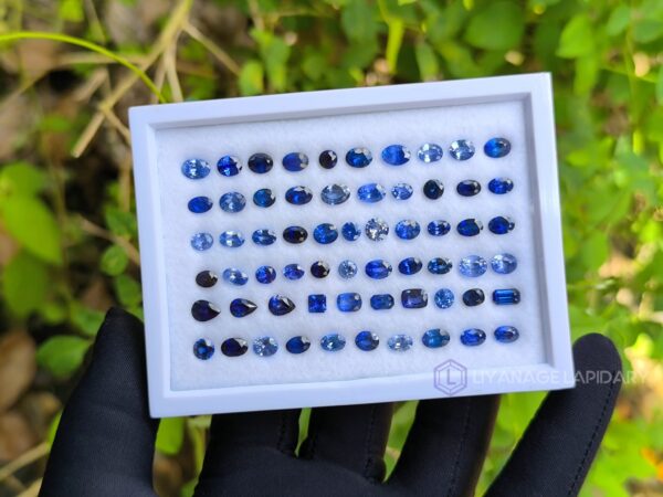 Ceylon Blue Sapphire Collection