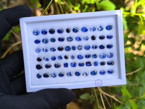 Ceylon Blue Sapphire Collection