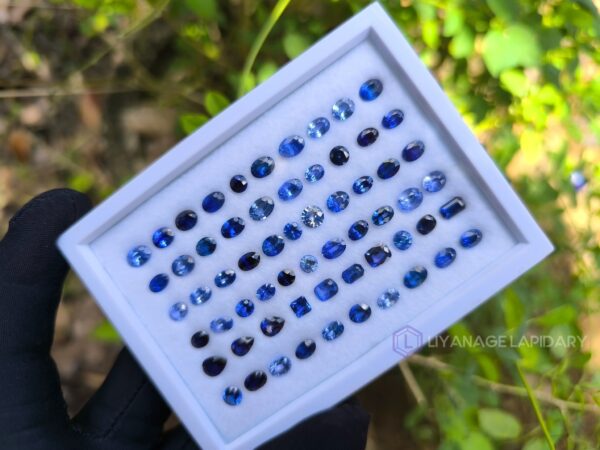 Ceylon Blue Sapphire Collection