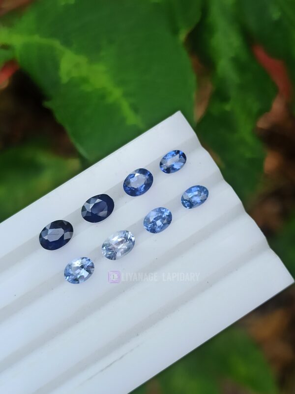 Ceylon Blue Sapphire Faceted Oval Collection