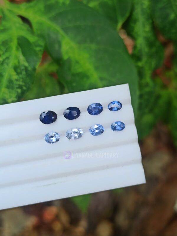 Ceylon Blue Sapphire Faceted Oval Collection