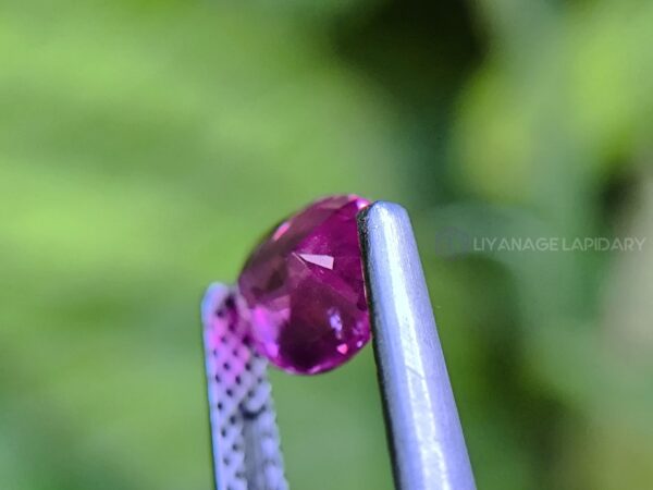 Ceylon Hot Pink Sapphire Oval