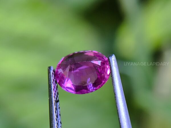 Ceylon Hot Pink Sapphire Oval