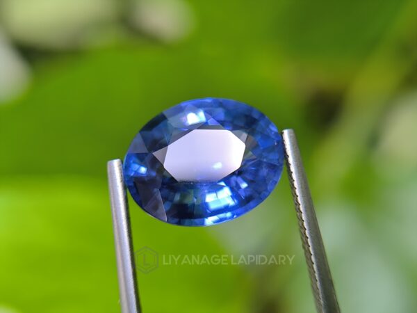 Ceylon Natural Blue Sapphire