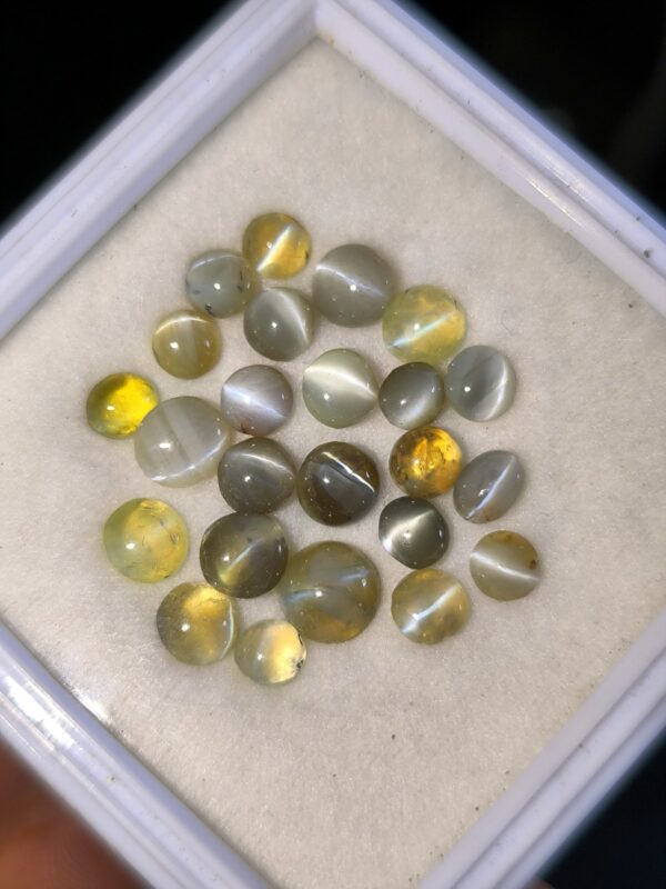 Ceylon Natural Chrysoberyl Cat's Eye Collection