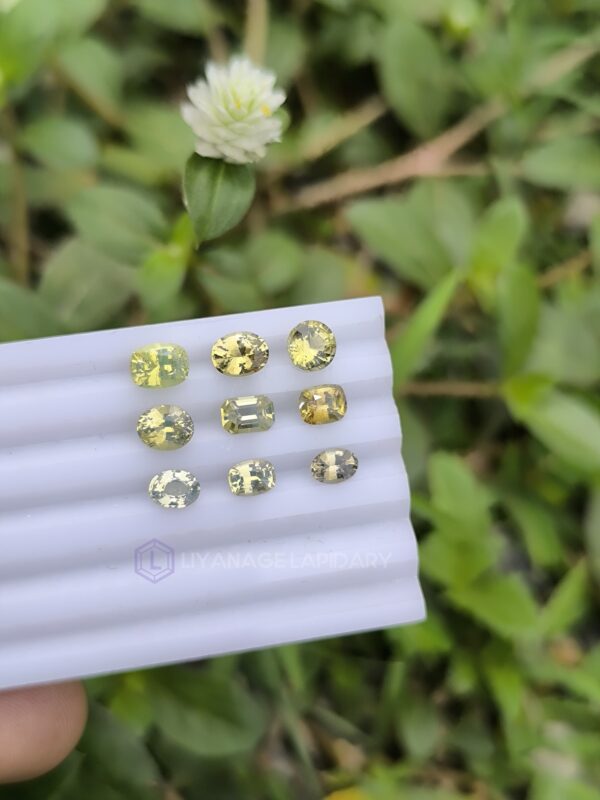 Ceylon Natural Chrysoberyl Faceted Stones Collection