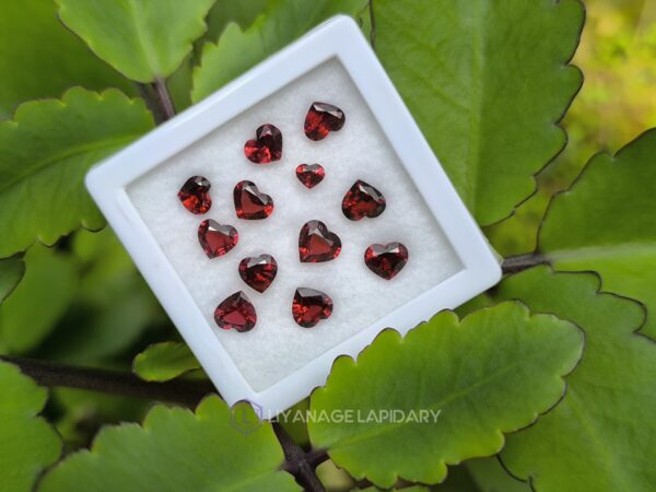 Ceylon Natural Garnet Heart Collection