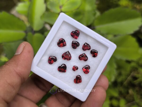 Ceylon Natural Garnet Heart Collection