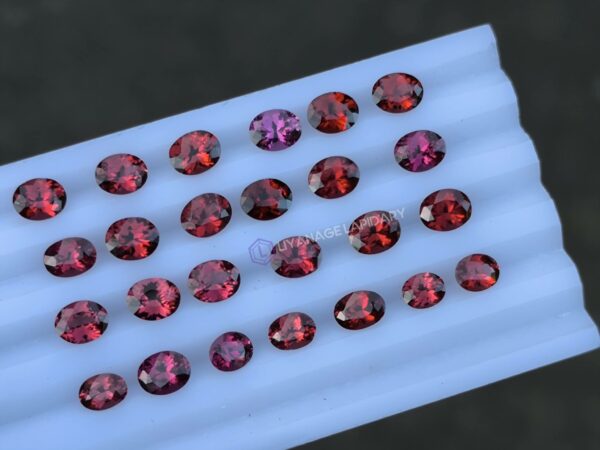 Ceylon Natural Pink & Red Garnet Collection