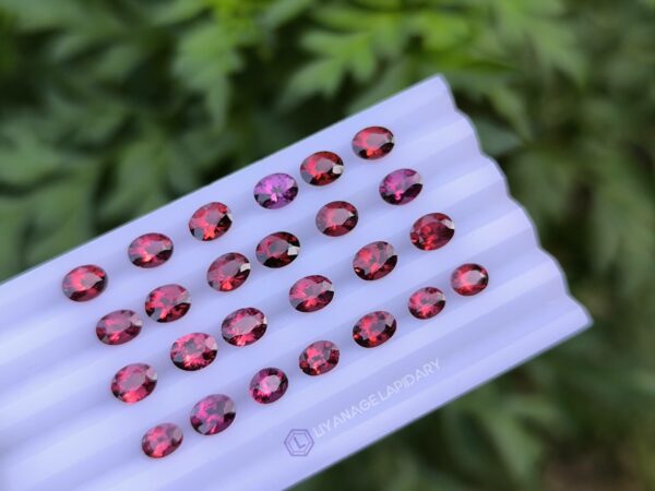 Ceylon Natural Pink & Red Garnet Collection