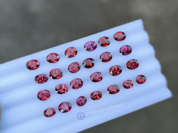 Ceylon Natural Pink & Red Garnet Collection