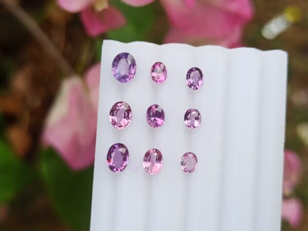 Ceylon Natural Pink to Purple Sapphire Oval Shape Collection