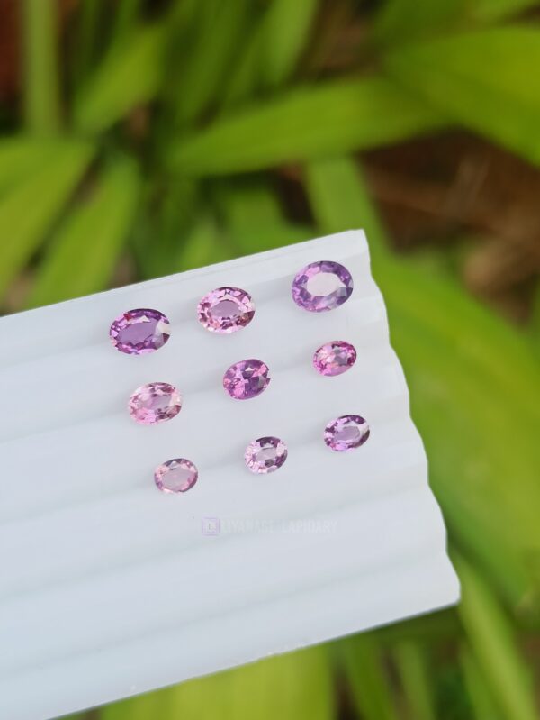 Ceylon Natural Pink to Purple Sapphire Oval Shape Collection