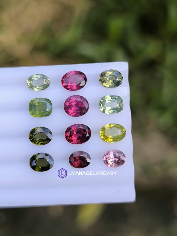 Ceylon Natural Zircon & Garnet Faceted Stones Collection