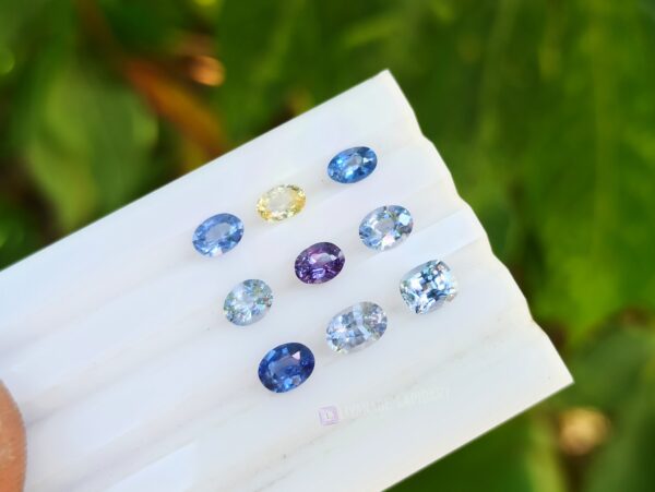 Ceylon Sapphire Faceted Oval Stones Collection