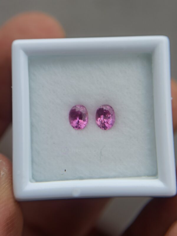 Natural Pink Sapphire Pair