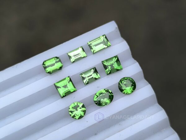 Natural Tsavorite Garnet Collection