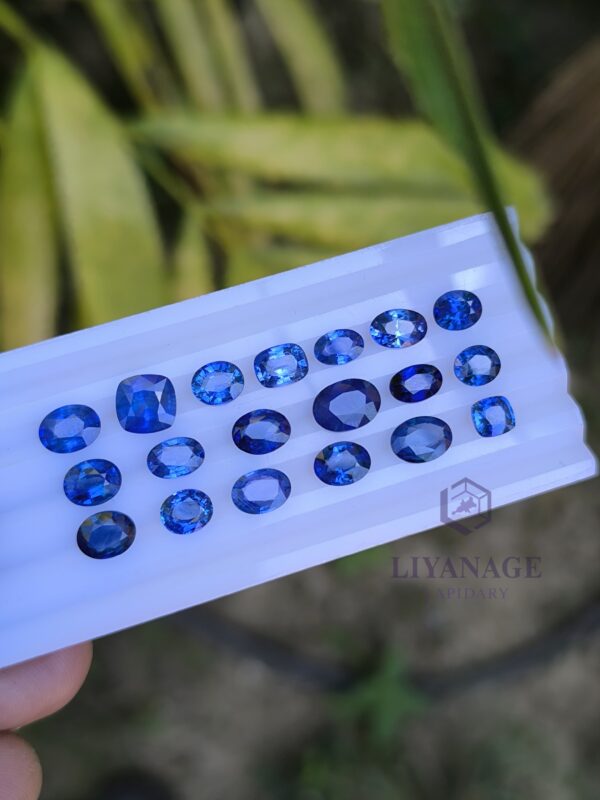 Ceylon Blue Sapphire Collection