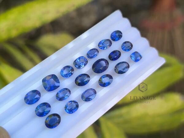 Ceylon Blue Sapphire Collection