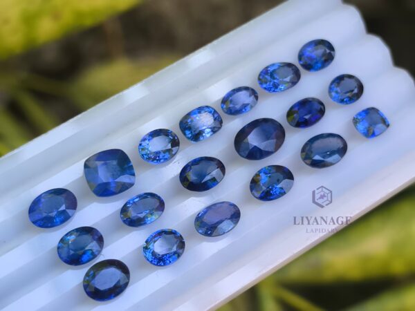 Ceylon Blue Sapphire Collection