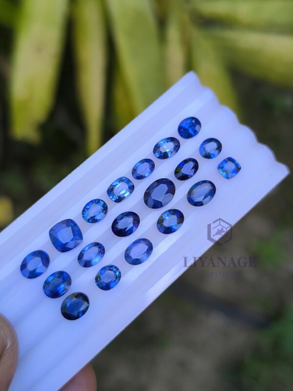 Ceylon Blue Sapphire Collection