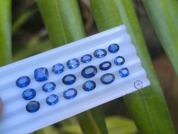 Ceylon Blue Sapphire Collection