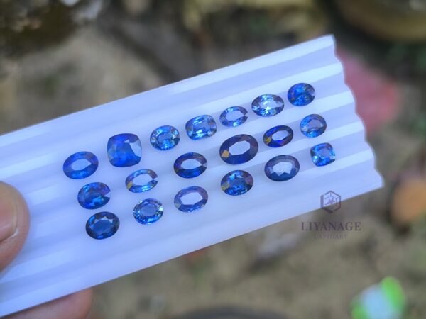 Ceylon Blue Sapphire Collection