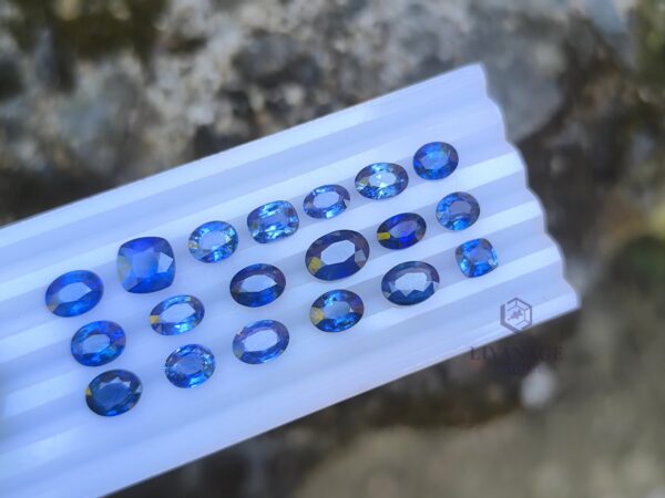 Ceylon Blue Sapphire Collection