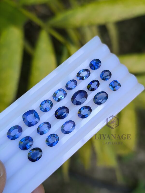 Ceylon Blue Sapphire Collection