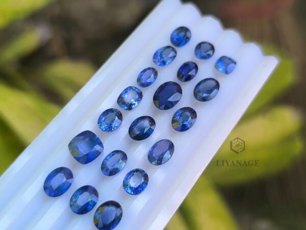 Ceylon Blue Sapphire Collection