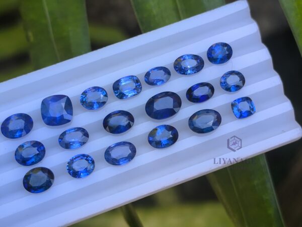 Ceylon Blue Sapphire Collection