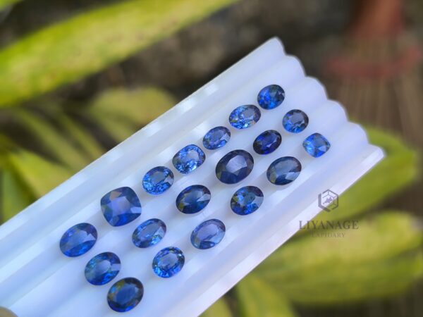 Ceylon Blue Sapphire Collection