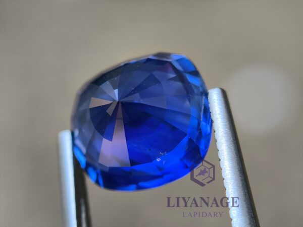 Ceylon Vivid Blue Sapphire Cushion