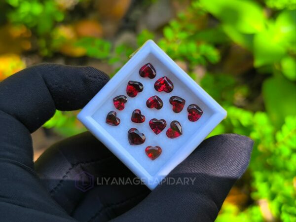 Heart Shape Garnet Collection