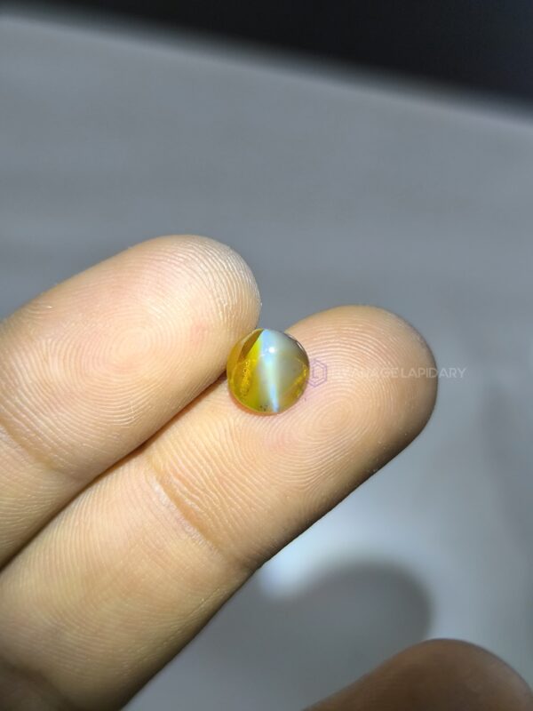 Natural Honey Color Cats Eye