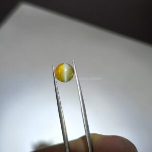 Natural Honey Color Cats Eye