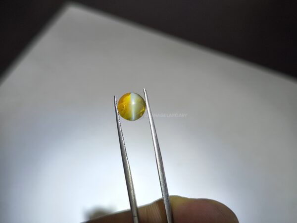 Natural Honey Color Cats Eye