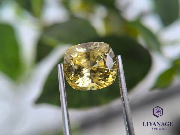 Ceylon Natural Yellow Sapphire