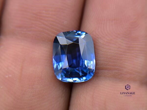 Ceylon Cornflower Blue Sapphire Cushion