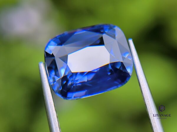 Ceylon Cornflower Blue Sapphire Cushion