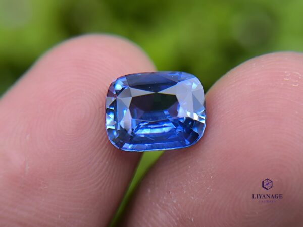 Ceylon Cornflower Blue Sapphire Cushion