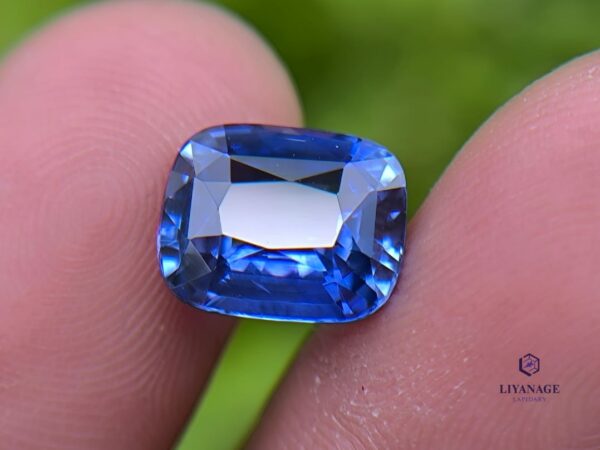 Ceylon Cornflower Blue Sapphire Cushion
