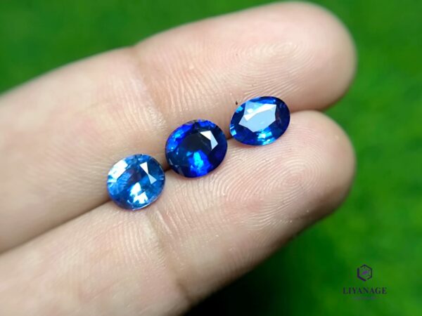 Ceylon blue sapphires