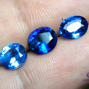 Ceylon blue sapphires