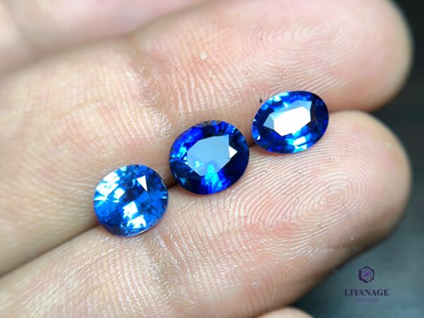 Ceylon blue sapphires