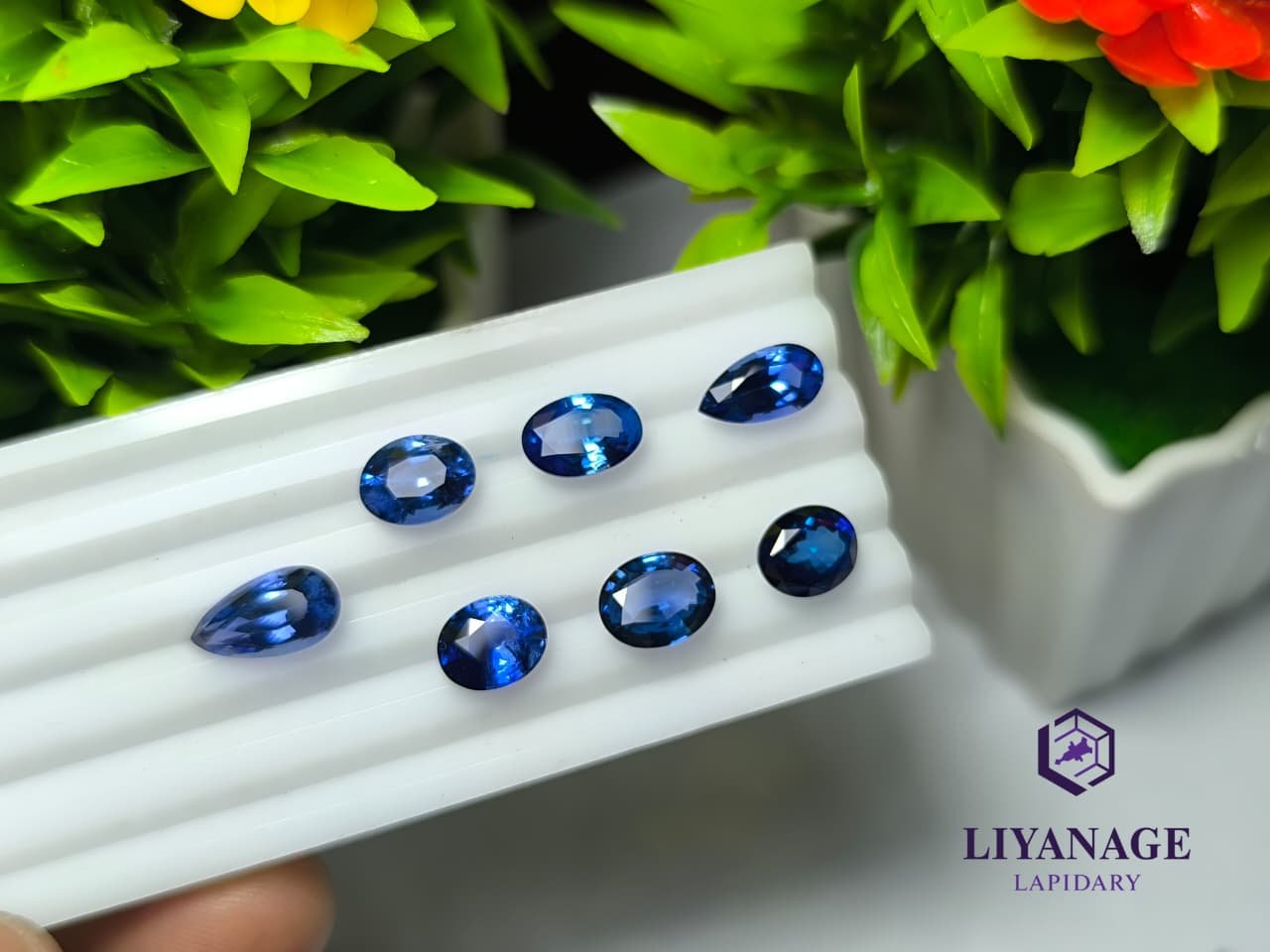 natural Ceylon Blue Sapphires
