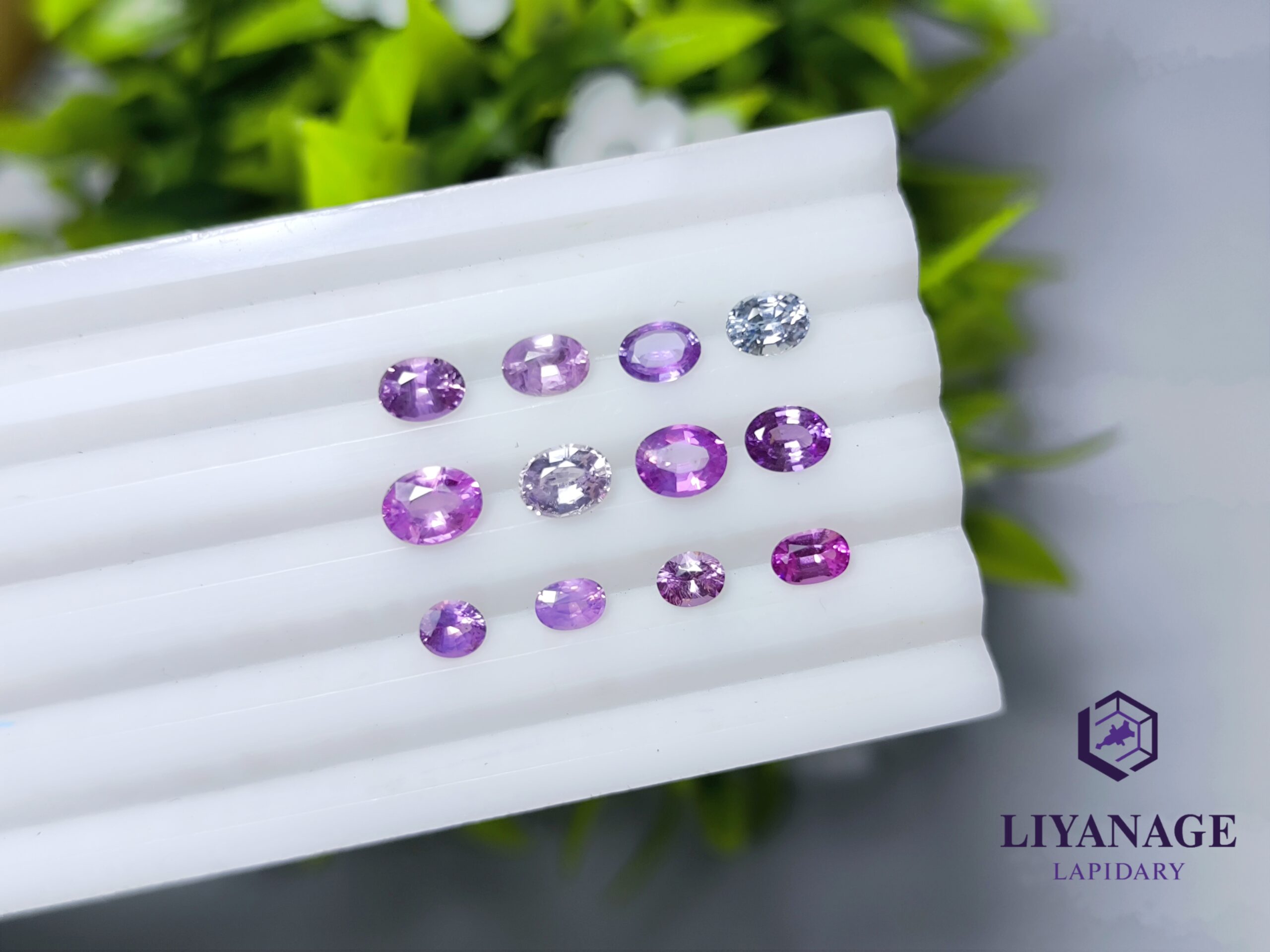 Ceylon Natural Pink & Purple Sapphire Collection