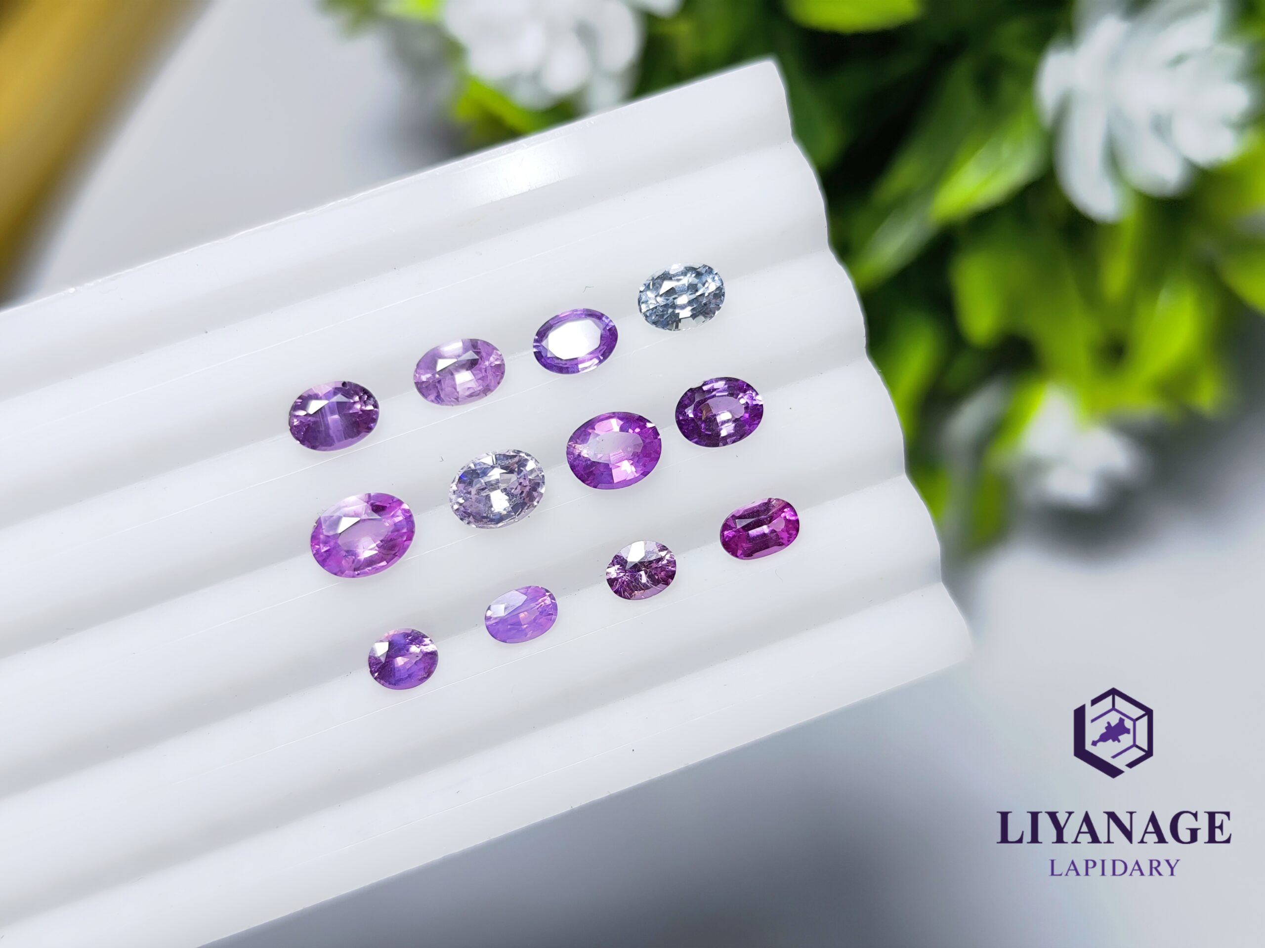 Ceylon Natural Pink & Purple Sapphire Collection
