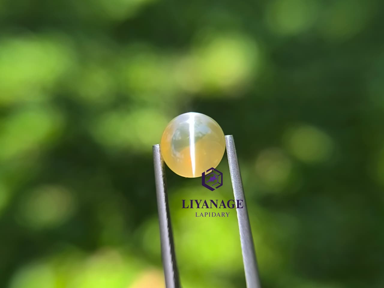 Natural Cat’s Eye chrysoberyl 3.05 ct – Unheated Transparent Stone from Ratnapura Sri Lanka - Image 3