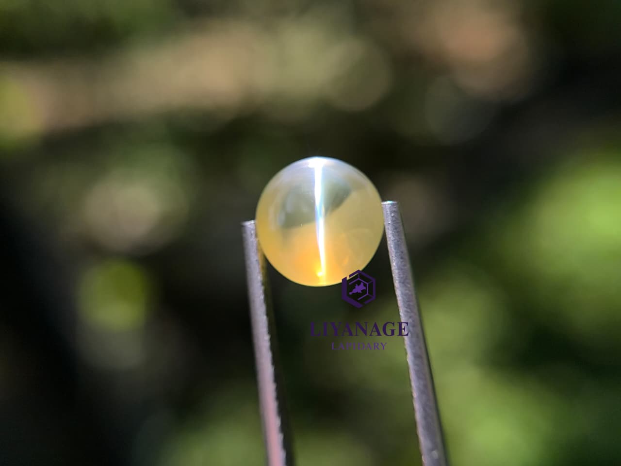 Natural Cat’s Eye chrysoberyl 3.05 ct – Unheated Transparent Stone from Ratnapura Sri Lanka - Image 4